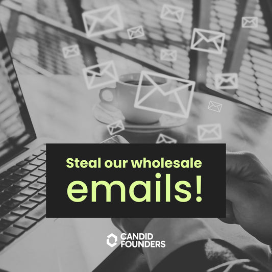 steal our wholesale emails ebook