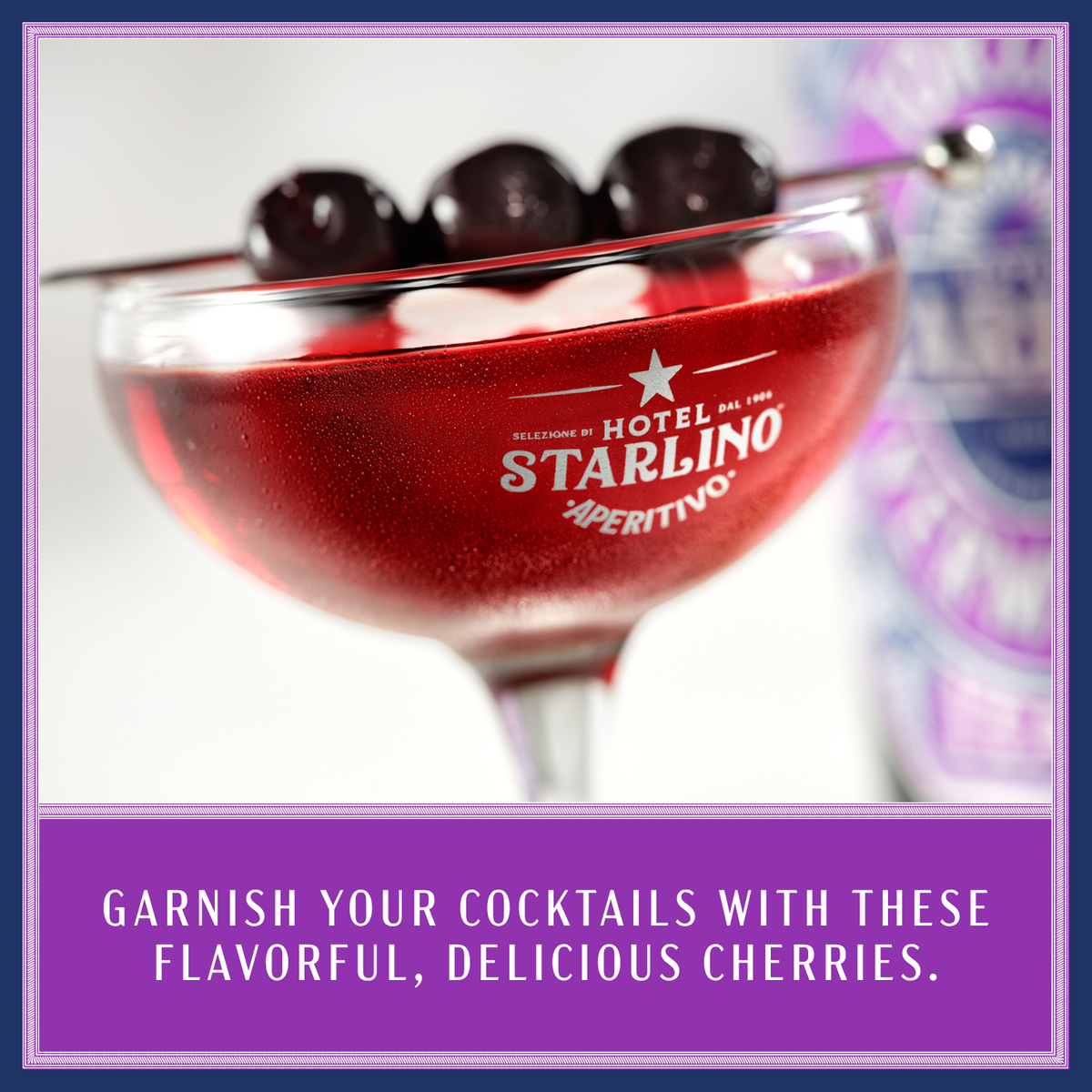 Hotel Starlino cocktail garnish product graphic